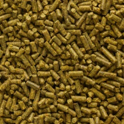 GOOSTER PELLET BABY CORN CHENEVIS EPICE 4MM 0,7KG POUR PECHER LA CARPE AU COUP -Pêche Fournitures Magasin gooster pellet baby corn chenevis epice 4mm 07kg pour pecher la carpe au coup 1