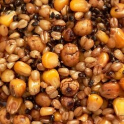 Mélange Graines Cuites 1kg Graines Pêche De La Carpe -Pêche Fournitures Magasin melange graines cuites 1kg graines peche de la carpe 1